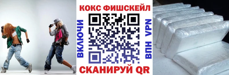 COCAIN Fish Scale  мега маркетплейс  Ясногорск 