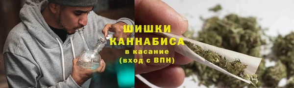 твердый Арсеньев