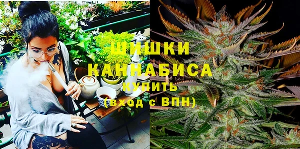 твердый Арсеньев