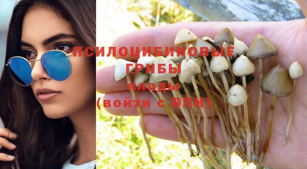 не бодяженный Аркадак